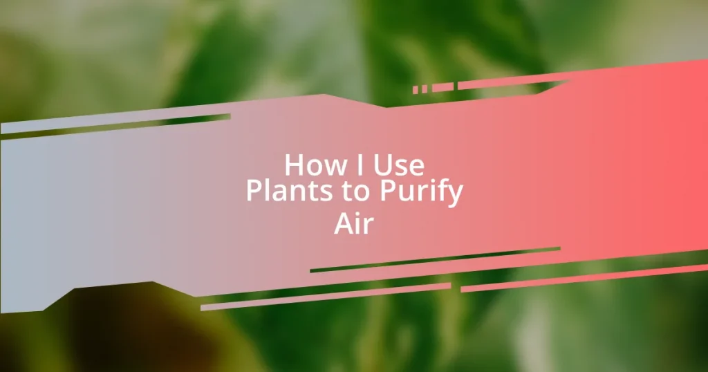 How I Use Plants to Purify Air