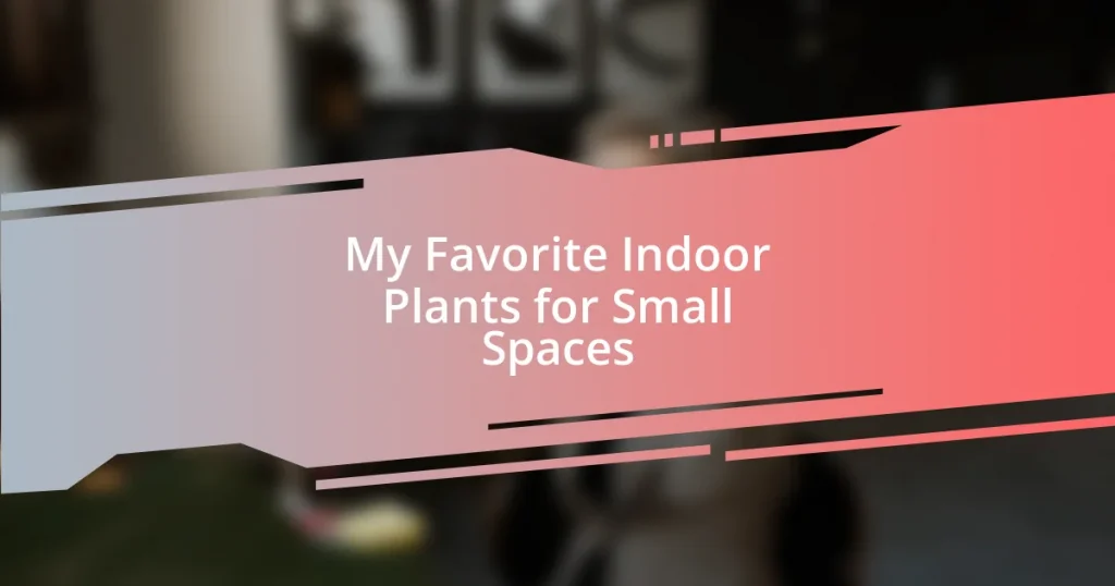 My Favorite Indoor Plants for Small Spaces